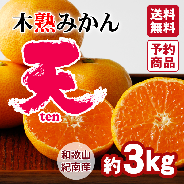 送料無料】木熟みかん「天」（S～Mサイズ） 5kg 紀州梅干し・みかんの