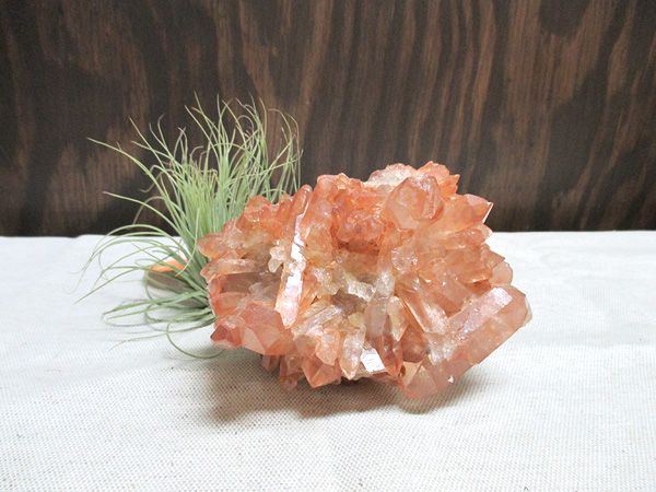 タンジェリーナクォーツ 水晶 クラスター 原石 ブラジル産 【鬮石