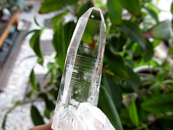 コロンビア産 レムリアンシードクリスタル 最高品質 水晶 原石