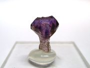 希少！アメジストエレスチャル セプタークォーツ 結晶 原石 インド産