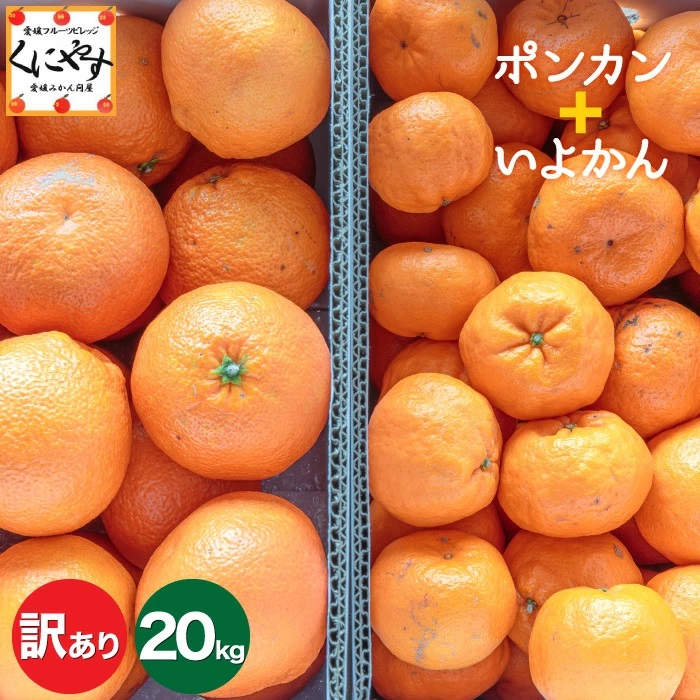 柑橘王国・愛媛県より、ポンカンといよかんのお得な詰め合わせセットを