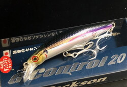 フィッシュマン ビームス インテ6.4UL （Fishman Beams inte 6.4UL