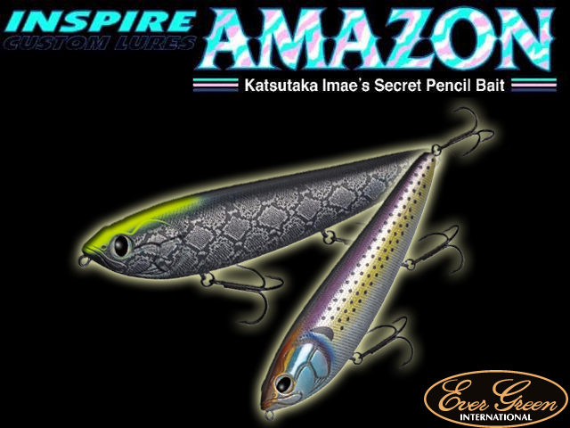 エバーグリーン アマゾン 160mm/43g 【シーバスルアー専門店 キング