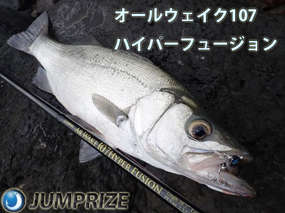 ジャンプライズ オールウェイク107ハイパーフュージョン 【シーバス