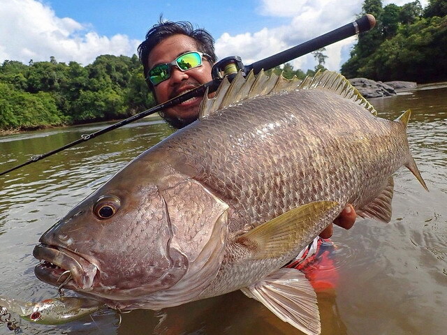 トランスセンデンス レイトブルーミングス 510+ 【シーバスルアー専門
