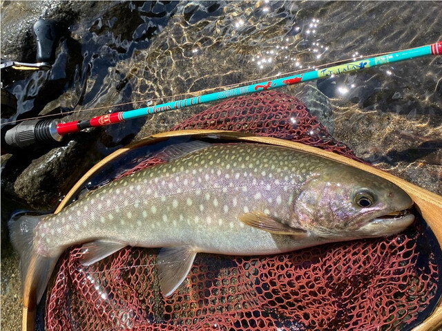 ツララ トリュテ クレールス411UL (Clerus411UL)【シーバスルアー専門