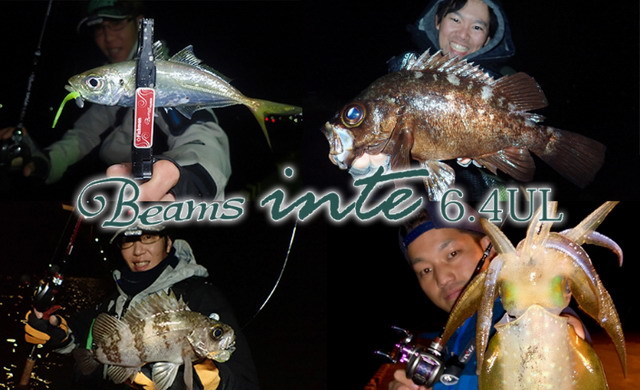 フィッシュマン ビームス インテ6.4UL （Fishman Beams inte 6.4UL