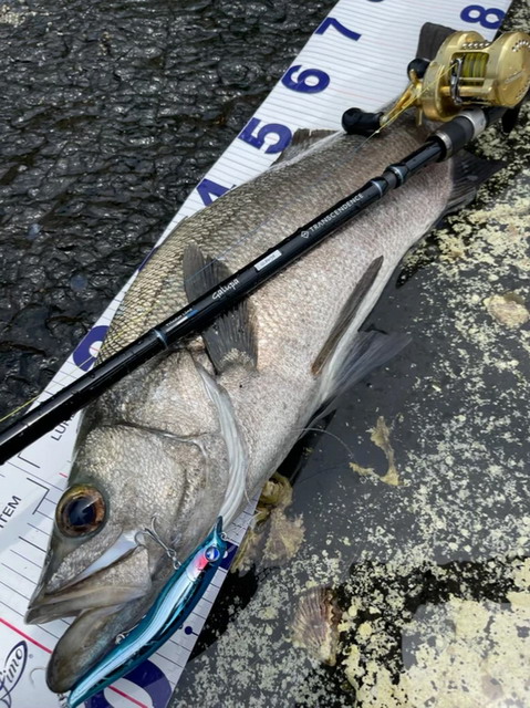 トランスセンデンス ガルッパ86B (Galupa86B)【シーバスルアー専門店