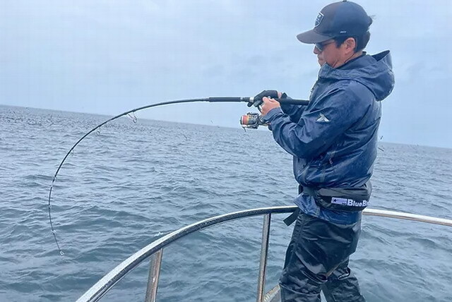 トランスセンデンス（TRANSCENDENCE） ギブリ80S 25【シーバスルアー