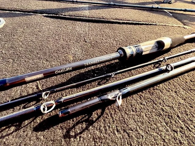 トランスセンデンス オセレイト59B+ (5.9ft-7.0ft) TRANSCENDENCE