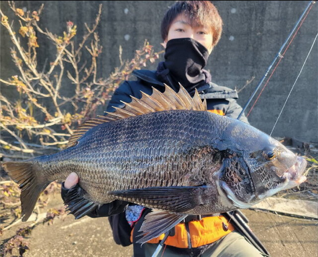 アピア グランデージ ヴァイスS74ML 【シーバスルアー専門店 キング