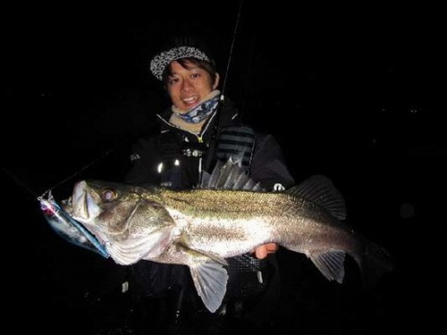 ブルーブルー（BlueBlue） ゼッパー140F 140mm/41g 【シーバスルアー