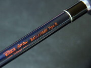 エイムス（AIMS）