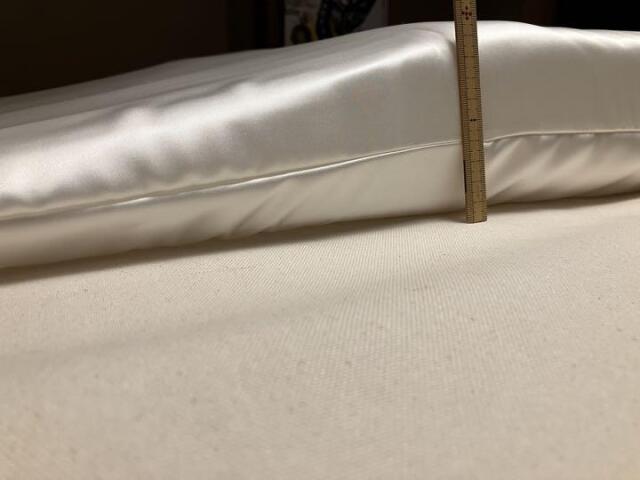 トゥルースリーパー セブンスピロー ライト シングル 用 シルク 100