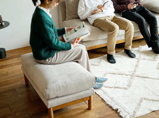 2.5人掛けソファ PANNE（パンネ）｜北欧・ヴィンテージインテリア