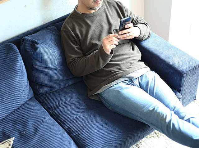 2.5人掛けソファー pluto（プルート）｜北欧・ヴィンテージインテリア