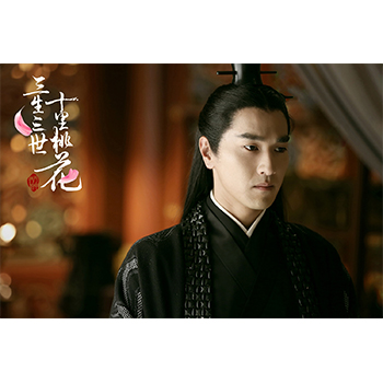 永遠の桃花～三生三世～DVD-BOX2（10枚組）＜シンプルBOX 5,000円