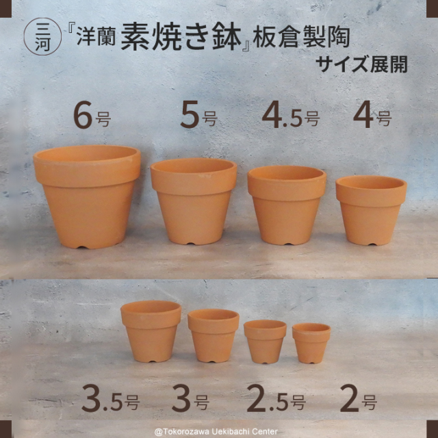 洋蘭 素焼き鉢 4．5号 6枚 板倉製陶