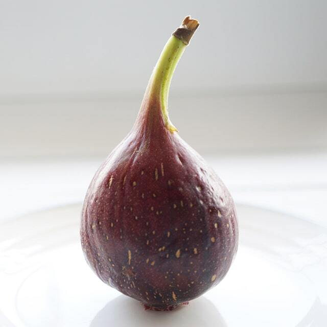 イチジク 苗 【セレストブルー】 2年生 挿し木 ポット苗