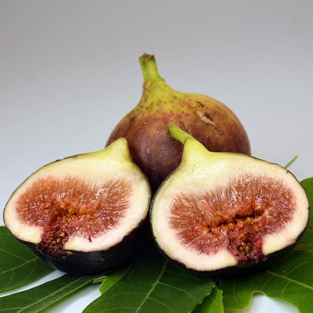 tn01-458-01.jpg?t=20250924141420