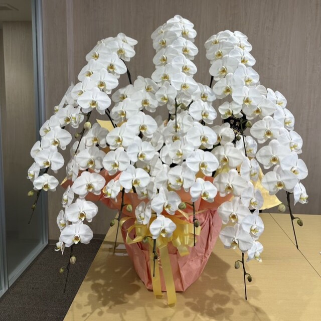 花束・アレンジメント・スタンド花・ブーケ・プリザーブドフラワー