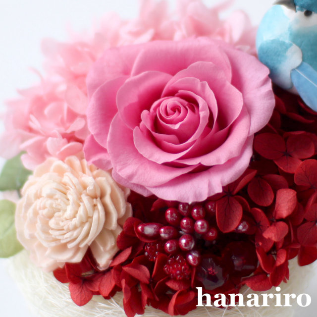 しあわせの青い鳥（赤ピンクミニ）/プリザーブドフラワー プリザーブド