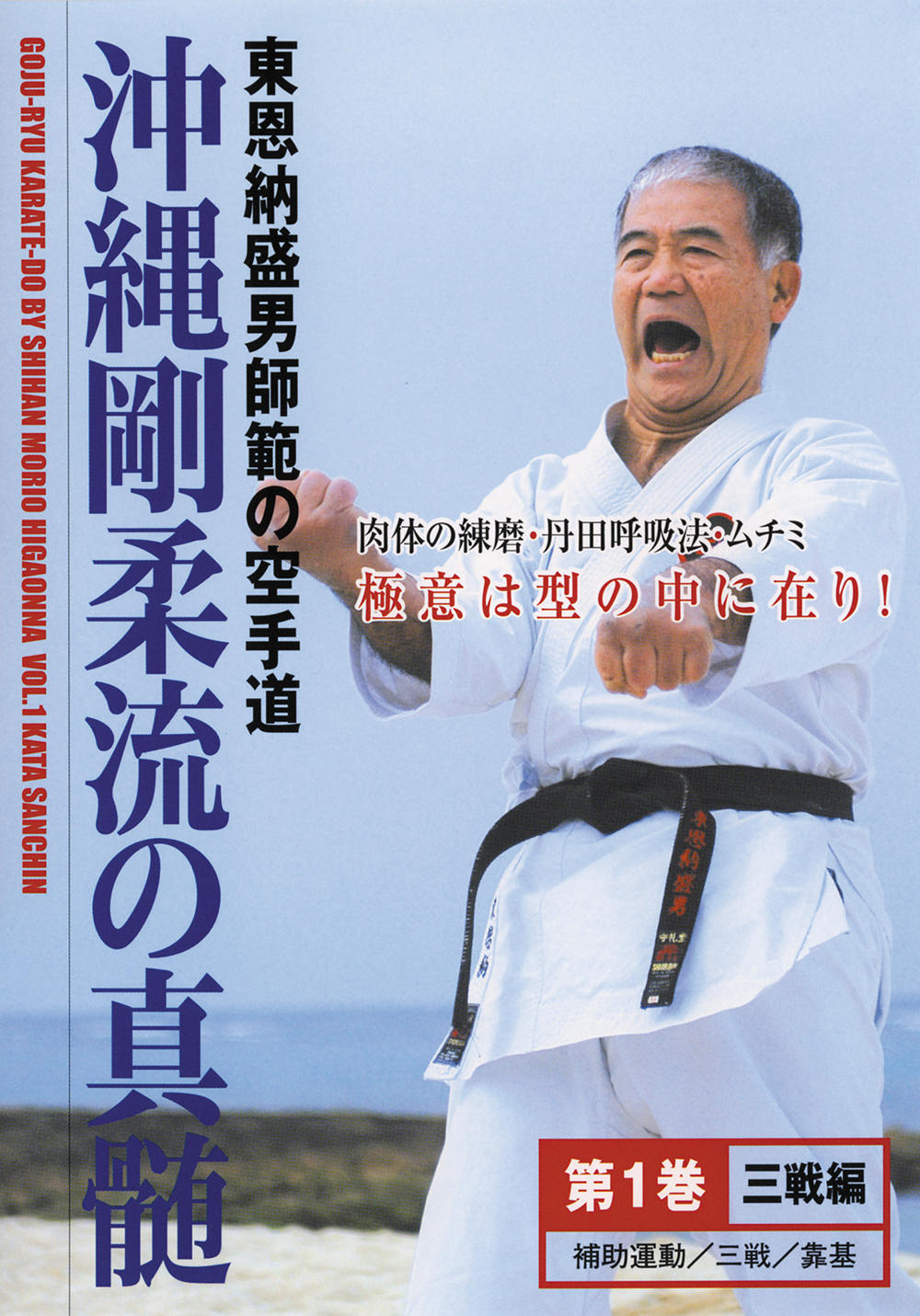 DVD2巻セット 『沖縄剛柔流の真髄』（通販限定）