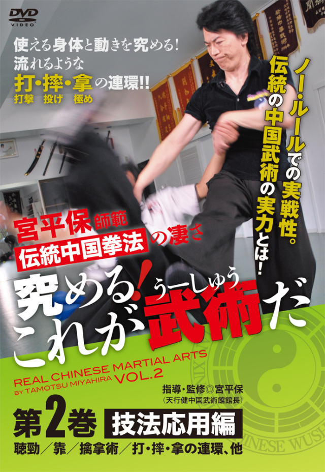 DVD 究める！これが武術だ 第2巻