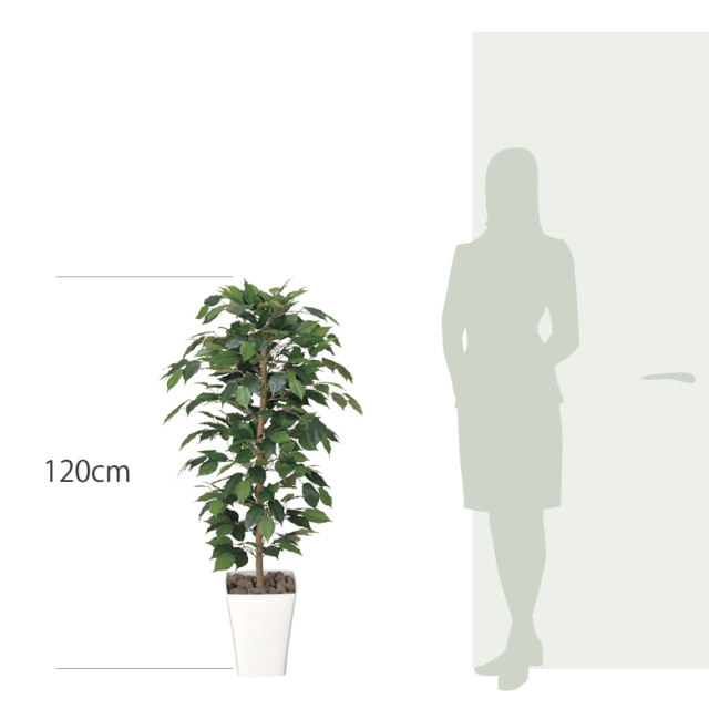 光触媒 光の楽園 フィカスベンジャミン 1.2m【インテリア フェイク