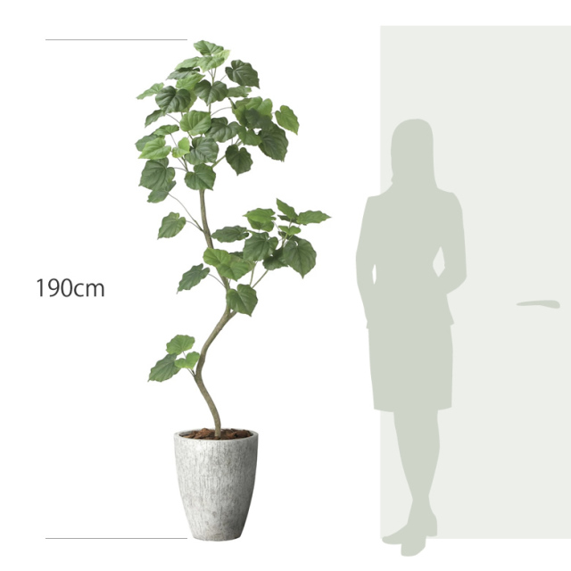 光触媒 光の楽園 ナチュラルウンベラータ1.9（組立式）【インテリア