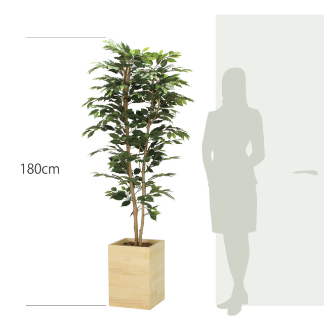 item_size_2301a520.jpg?t=