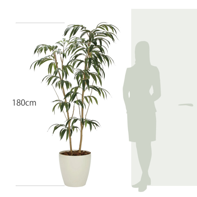 item_size_2318a420.jpg?t=