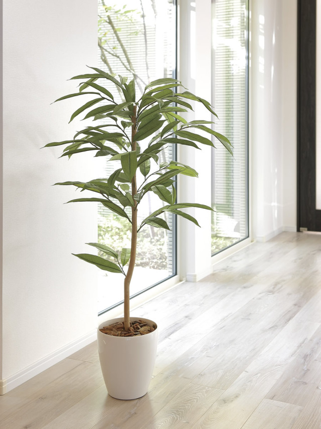 光触媒 光の楽園 アムステラバーキング 1.2m【インテリア フェイク