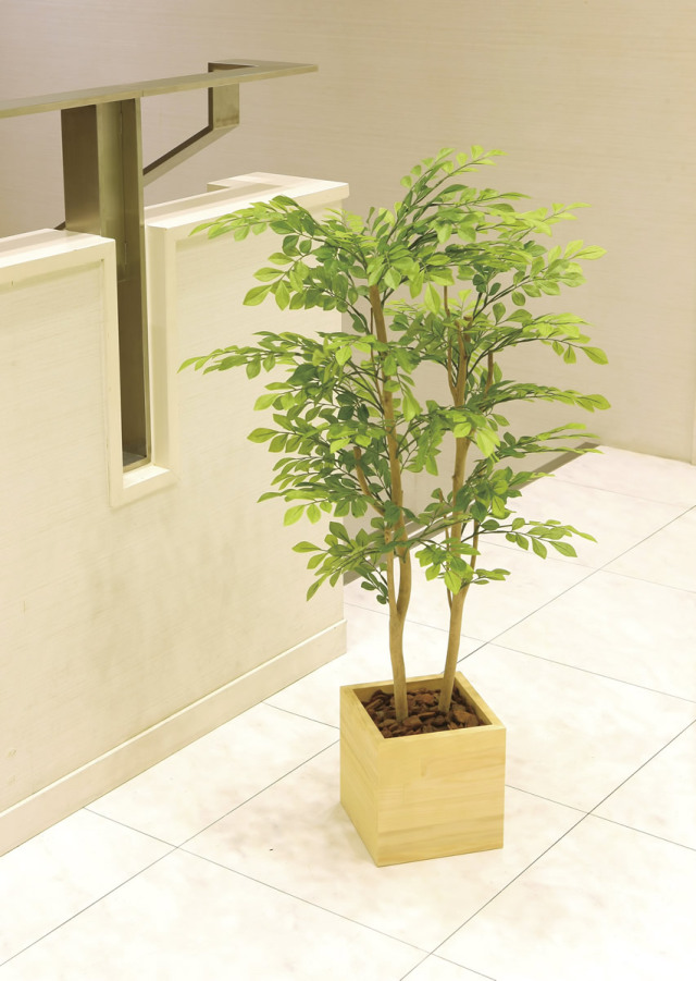 光触媒 光の楽園 ウッドボックスライトトネリコ1.0m【インテリア