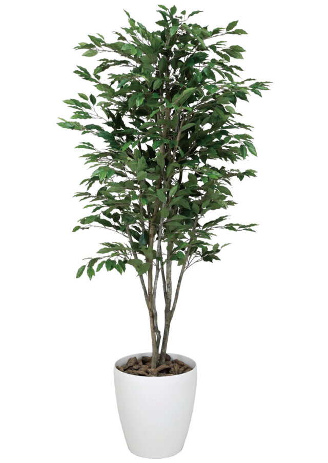 180cm以上 造花と観葉植物の専門店 光の楽園