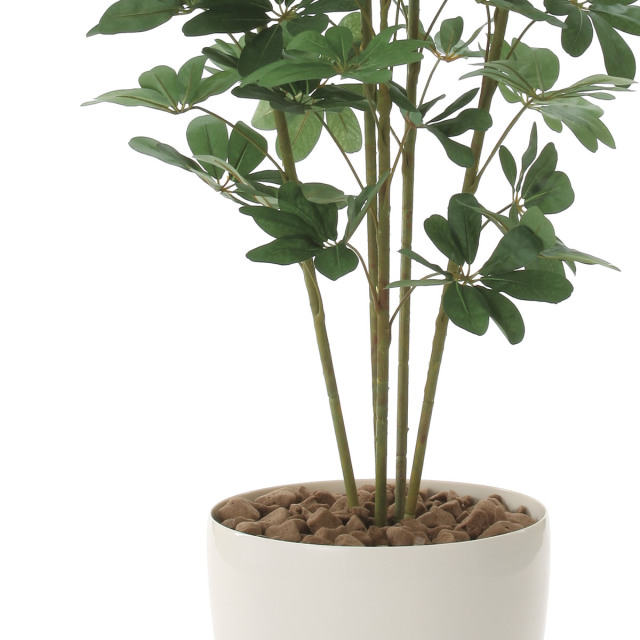 光触媒 光の楽園 カポック 1.8m【インテリア フェイクグリーン 人工