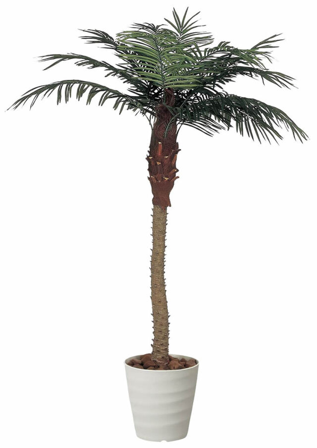 光触媒 光の楽園 フェニックス 2.1m【インテリア フェイクグリーン