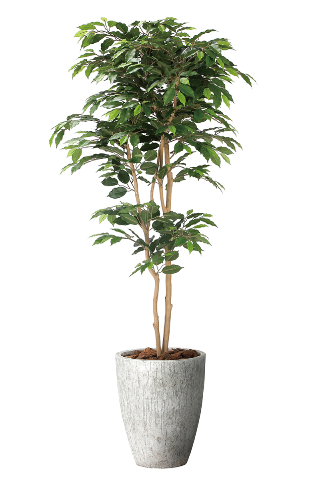 光触媒 光の楽園 トネリコ 1.8m【インテリア フェイクグリーン 人工