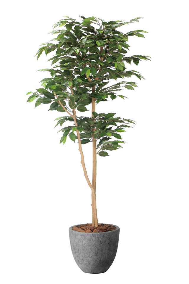 光触媒 光の楽園ナチュラルサラサドウダン 90【インテリア フェイク