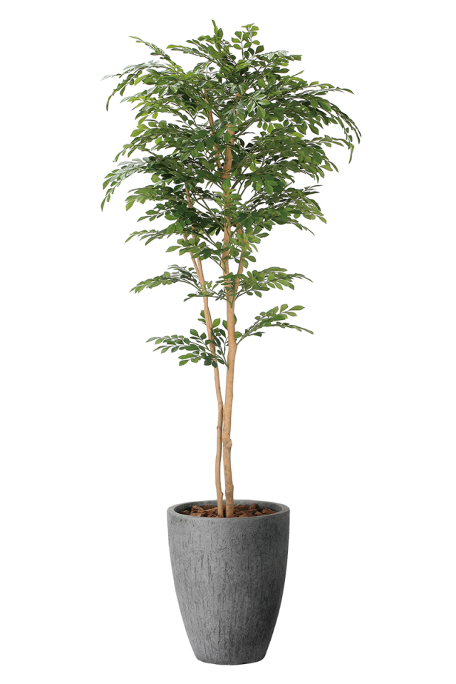 光触媒 光の楽園 イチョウの木1.8m【インテリア フェイクグリーン 人工