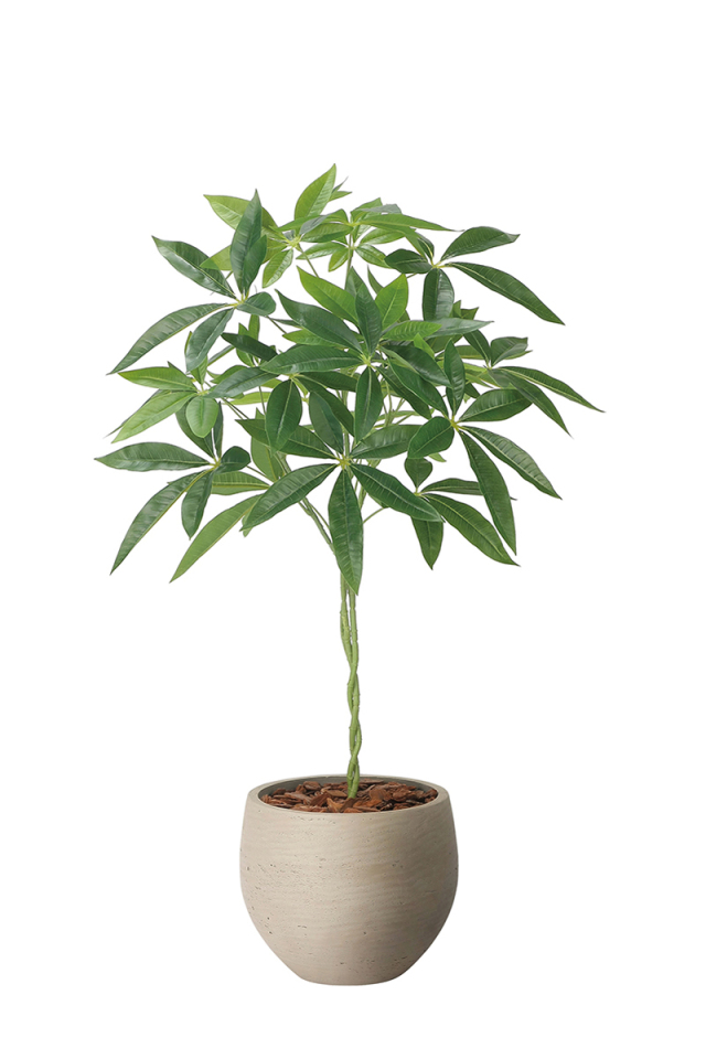 光触媒 光の楽園 セローム1.25m【インテリア フェイクグリーン 人工