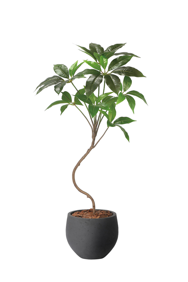 光触媒 光の楽園ナチュラルベンジャミン 1.8m【インテリア フェイク