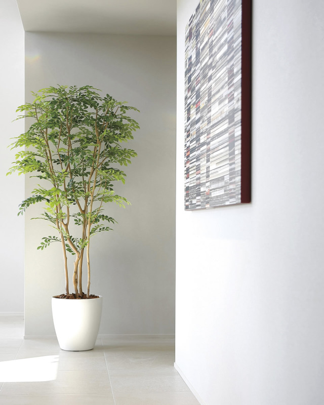 光触媒 光の楽園 ツートントネリコ1.8【インテリア フェイクグリーン