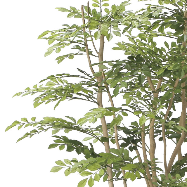 光触媒 光の楽園 ツートントネリコ1.8【インテリア フェイクグリーン