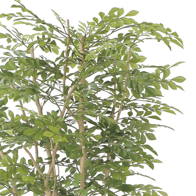 光触媒 光の楽園 ウッドボックストネリコミックス1.8【インテリア