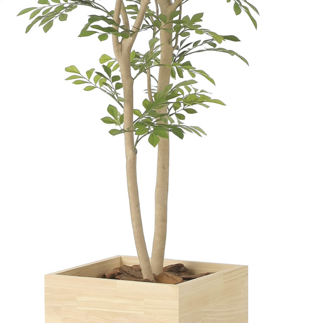 光触媒 光の楽園 ウッドボックストネリコミックス1.8【インテリア