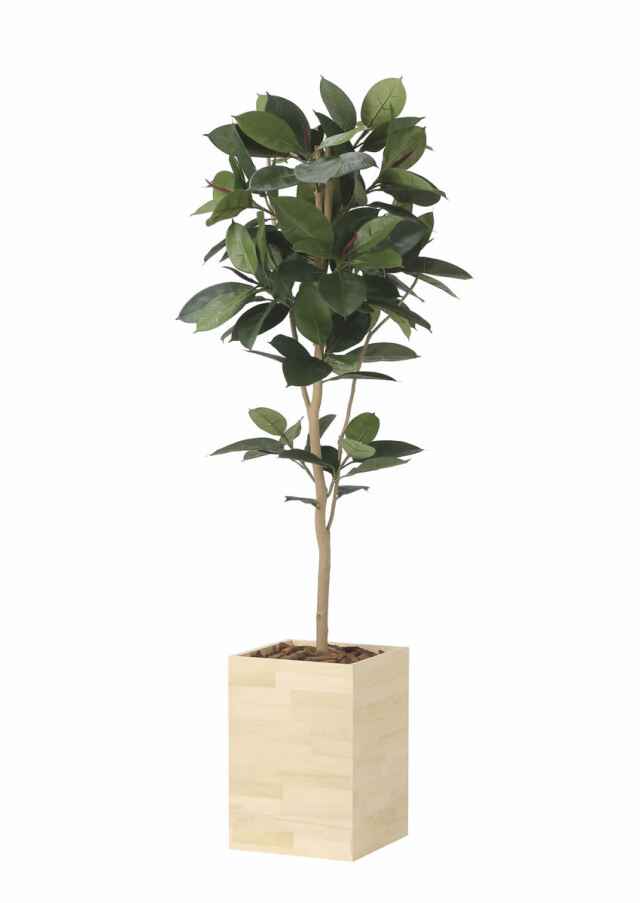 光触媒 光の楽園 ドラセナ 高さ 1.8m 【インテリア フェイクグリーン