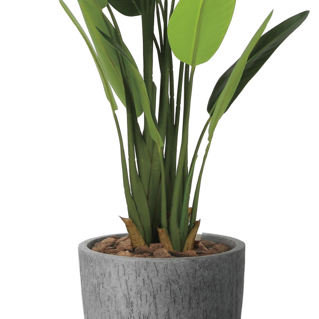 光触媒 光の楽園 ナチュラルトラベラーズパーム1.6【インテリア