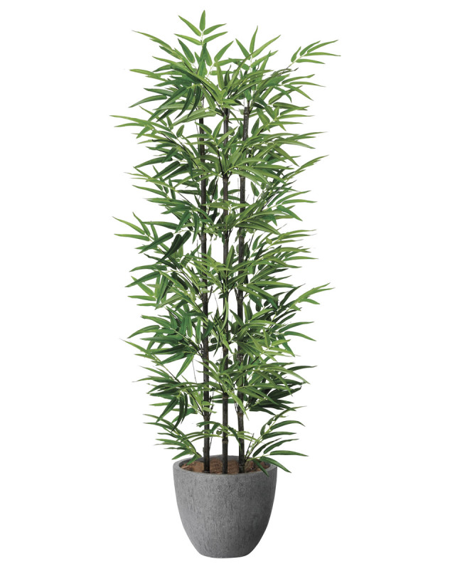 光触媒 光の楽園ナチュラルベンジャミン 1.8m【インテリア フェイク