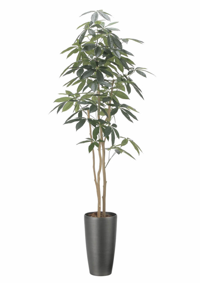 光触媒 光の楽園 スリムパキラ1.8m【インテリア フェイクグリーン 人工